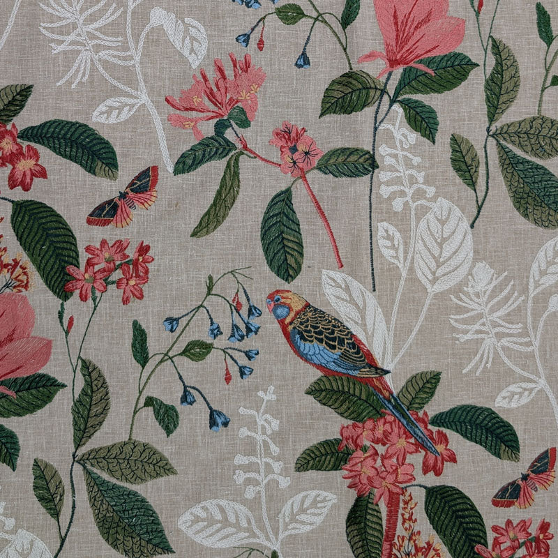 F743-03A Paradise - Raspberry