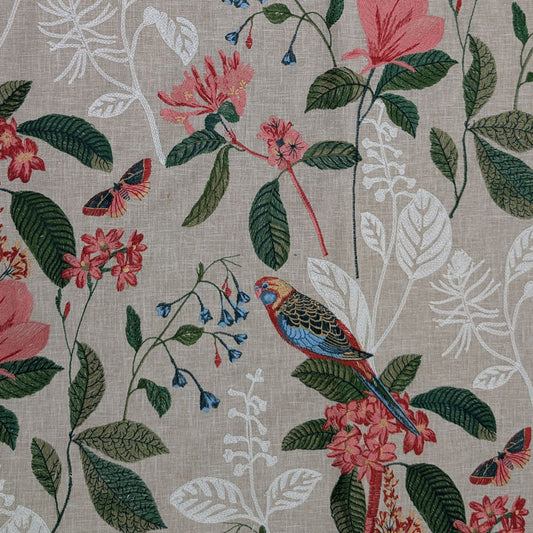 F743-03A Paradise - Raspberry