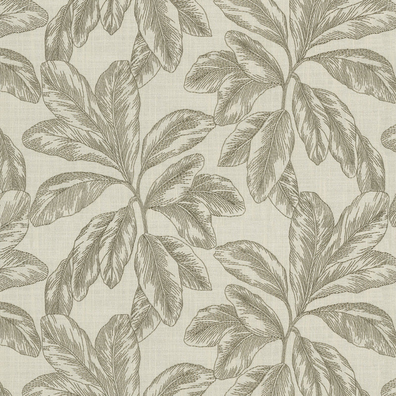F745-05A Rainforest - Sepia