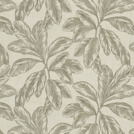 F745-05A Rainforest - Sepia