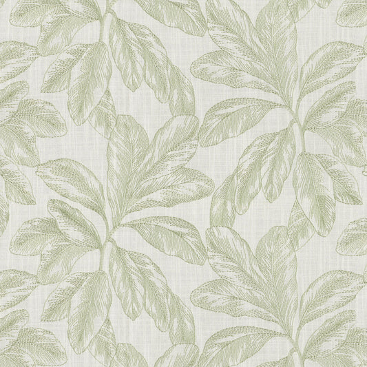 F745-05B Rainforest - Celery