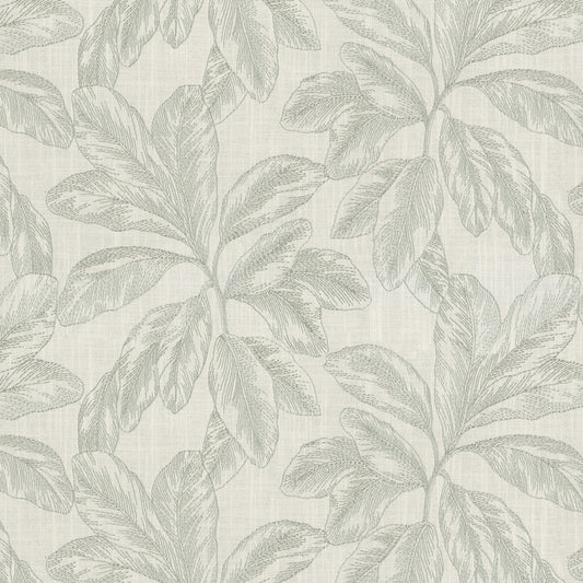 F745-05C Rainforest - Mist